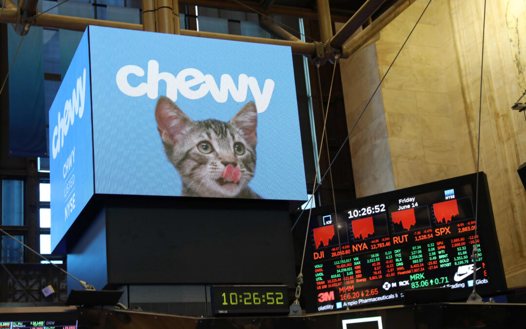 Stocks making the biggest moves midday: Chewy, GameStop, Boeing, Norwegian Cruise Line and more